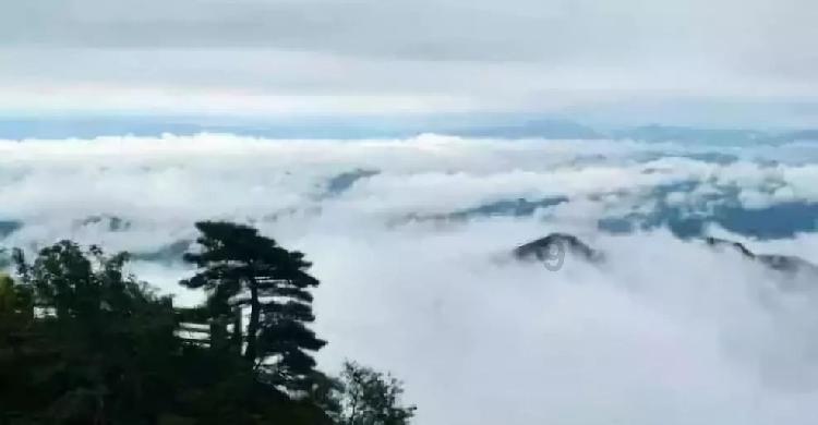 了解美国取消全球旅行警告,现在美国的疫情情况如何?,畅聊知识星球
