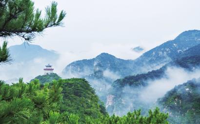 脑洞小老弟无实名认证